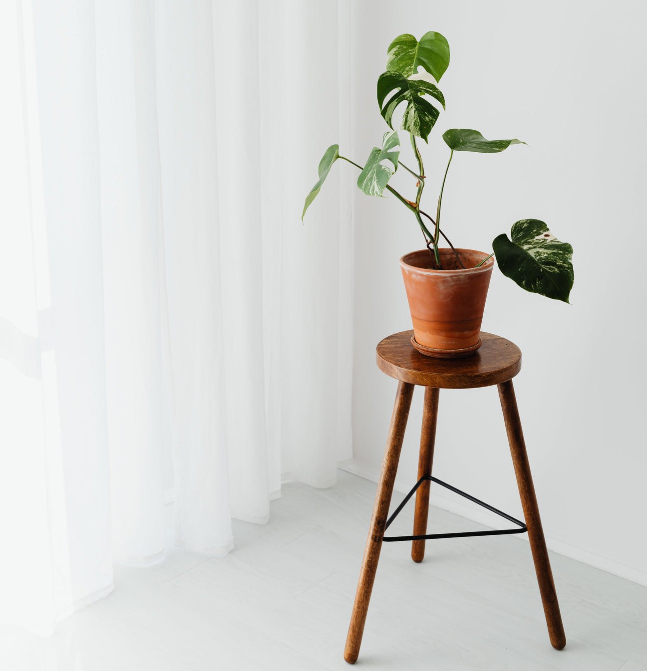 Eco-Friendly Furniture Style Meets Sustainability